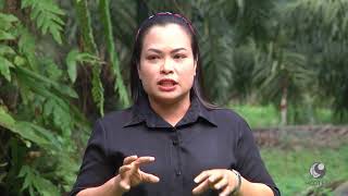 คนไทยหัวใจเกษตร 18 ตุลาคม 2560 B3