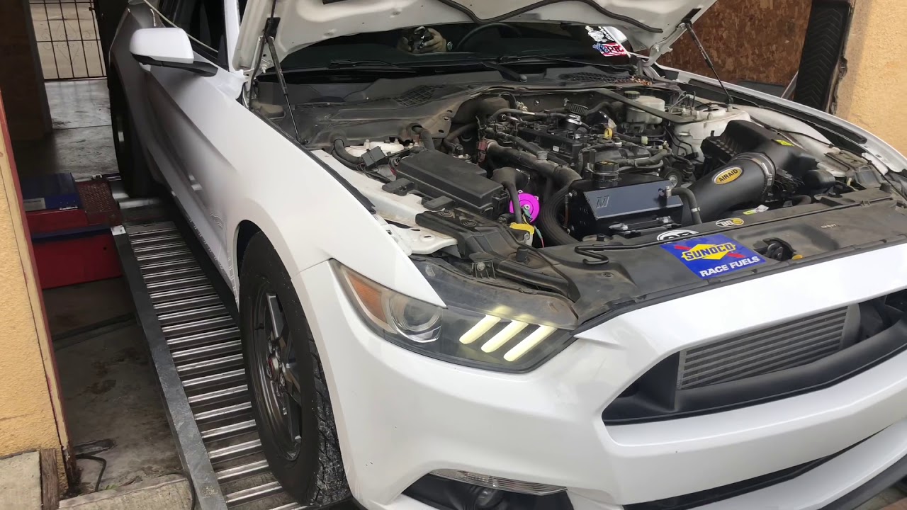 Purple Drank Tune MT82 EcoBoost NX2 Mustang Dyno , Vlog & Track