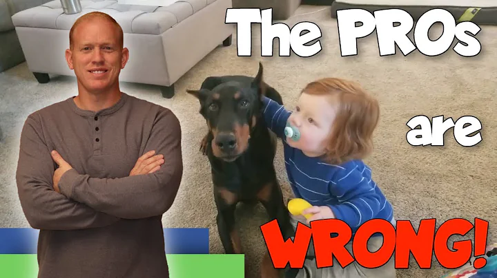 Raising a Doberman with Kids: The Experts are WRONG!
