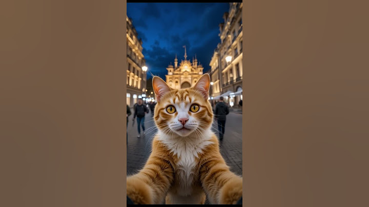 "Purrfectly Serious: The Cat Who Took a No-Smile Selfie"