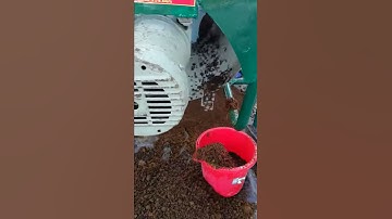 Máy bắt trùn 2020 loại lớn