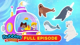 Arctic Animal Adventure For Kids Learn About Cold-Water Creatures With Bubbles And Friends