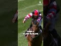 Sometimes all you need is to back your horse in 🙌 #melbournecup