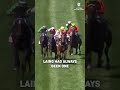 Sometimes all you need is to back your horse in 🙌 #melbournecup