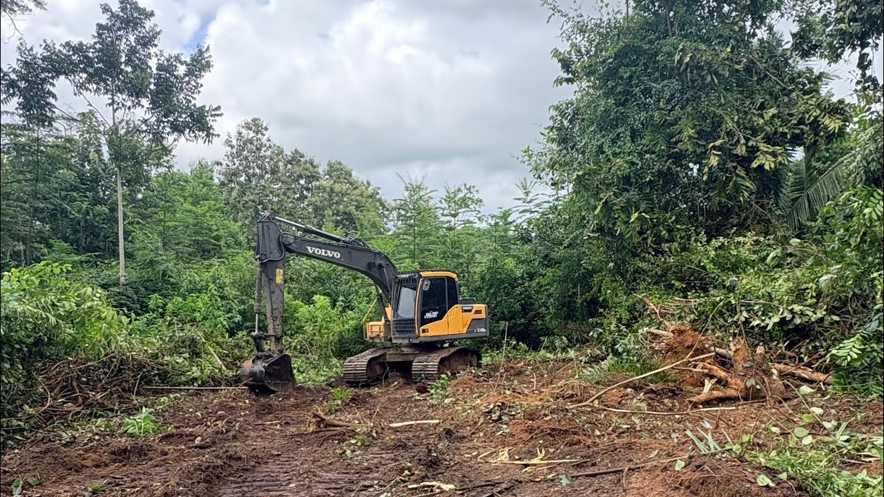 Escavadeira Limpando capoeira na beira da cerca