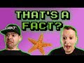 Weird & Crazy Facts!!