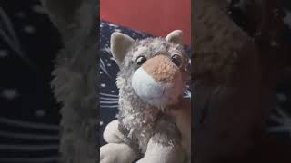 guardesp paldas 3000