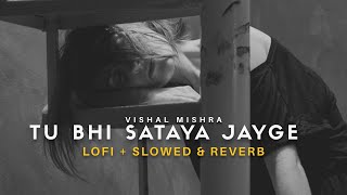 Tu Bhi Sataya Jayge (Lofi Mix   Slowed & Reverb) - Vishal Mishra | Heart Snapped