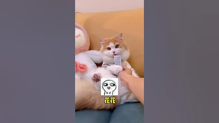 【小奶猫成长记】我好像不是很会哄女生 怎么办 - 天天要闻