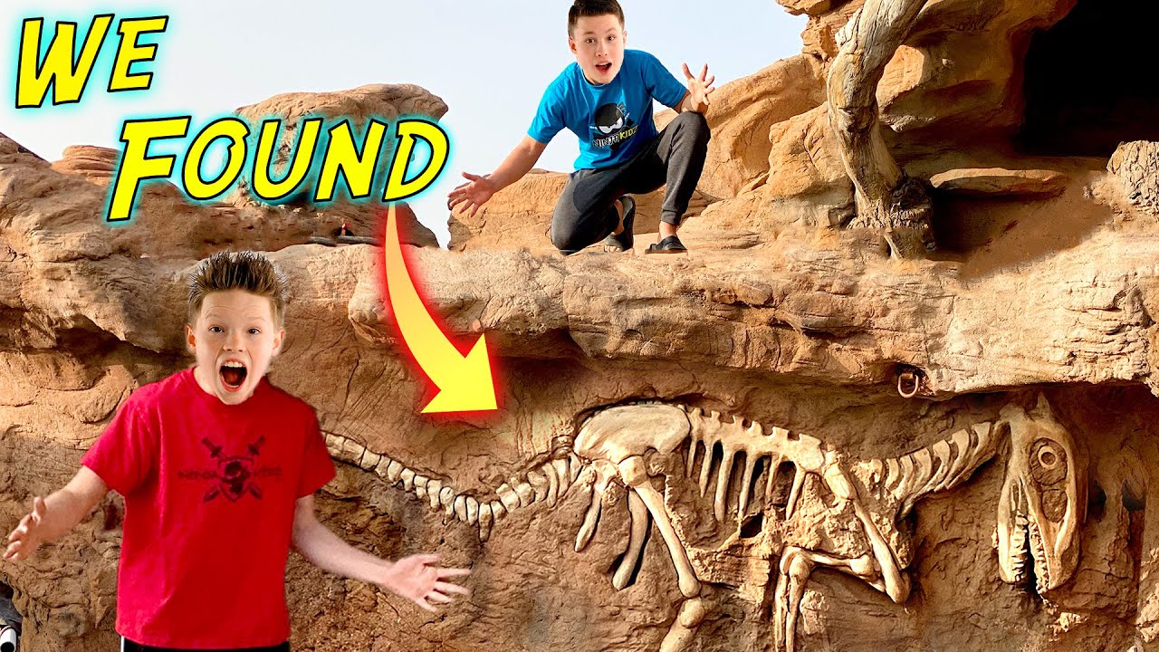 We found dinosaur fossils in our backyard! 