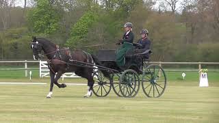 Advanced Single Horse driven dressage, carriage driving