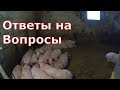 Бетонные полы для свиней/Склад для кормов/Видеонаблюдение в сарае