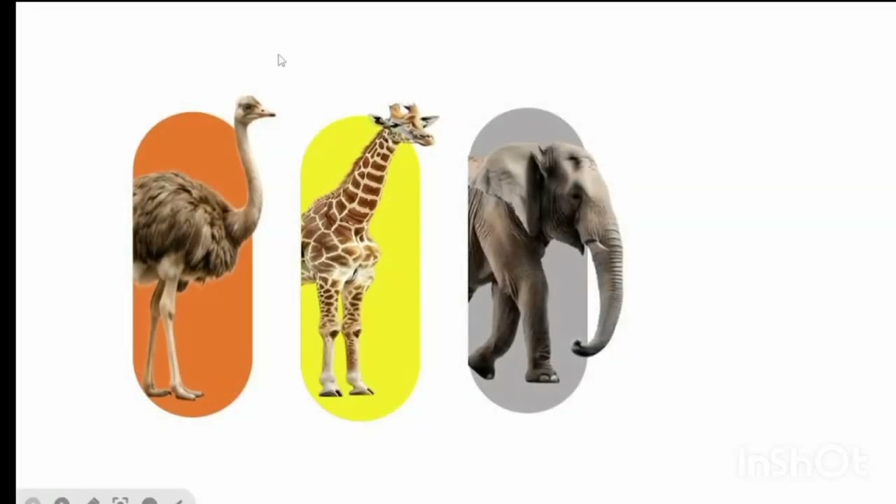 Slide Design 07 | Morph Transition in powerpoint 