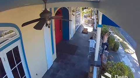 STOPPED by Deep Sentinel #21: Live Guards Preventing Crime