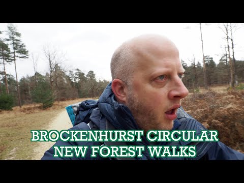 Brockenhurst Circular | New Forest Walks | Cool Dudes Walking Club