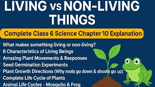 Living Vs Non-Living Things - Class 6 Science Characteristics Of Living Beings Silentreader