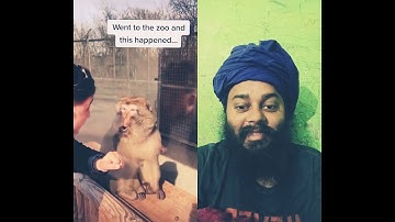 Bro was not expecting that 🤣 #calmdown #zoo #monkey #magictrick #memes