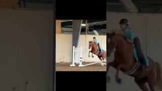 🛒🚶‍♂️!! #cartman #fyp #shorts #youtubeshorts #blowup #equestrian #hunterjumper