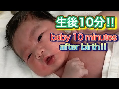 赤ちゃん生後10分 出産10分後 巨大児 4000g越え Baby 10 Minutes After Birth Giant Child Over 4000 Grams Shorts Youtube 赤ちゃん生後10分 出産10分後 巨大児 4000g越え Baby 10 Minutes After Birth Giant Child Over 4000 Grams Shorts Youtube