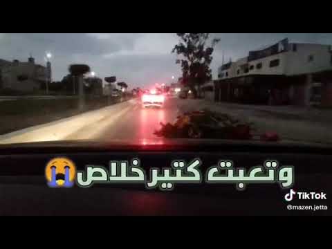 من كتر ما قلبي شاف