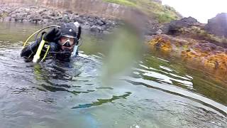 Diving at Portnahapple, Portstewart, Northern Ireland 1/5