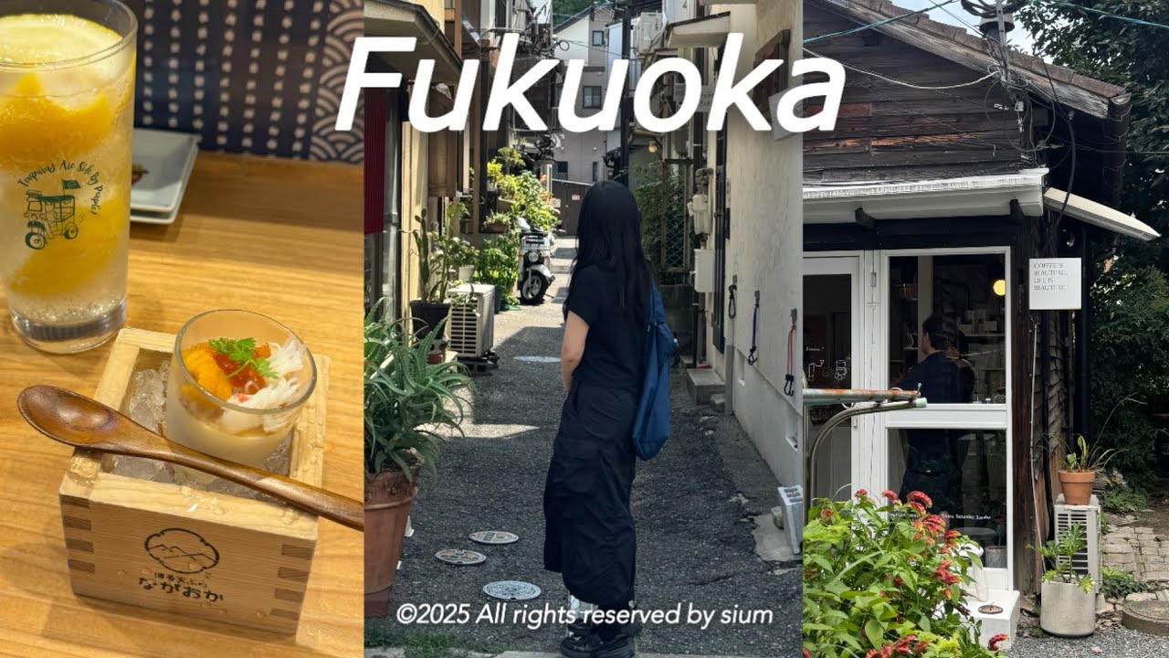 파워J의 후쿠오카 여행🇯🇵(하카타&텐진맛집,단톤&슈프림&GU쇼핑,느좋카페,호텔추천)