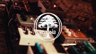Sequoia - Live from Spirit Studios, Manchester