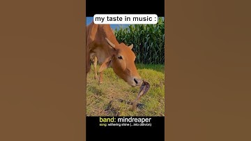 My taste in Music 🤘 #metalmemes #metal #metalmeme #thrashmetal #deathmetal #metalhead #metalheads