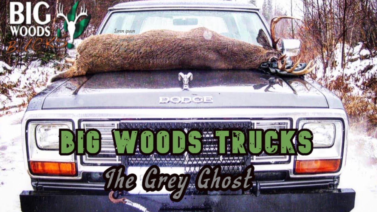 BIG WOODS TRUCKS | Hal Blood's GREY GHOST - YouTube