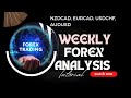 Weekly forex market analysis on NZDCAD, EURCAD, USDCHF , AUDUSD #forex #analysis #forextrading