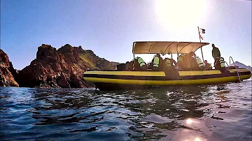 Où faire de la plongée en Corse ?