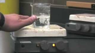 Using the Hot Plate and Stirrer at Mt. Hood Community College