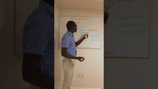 Ethosuximide Pharmacokinetics And Pharmacodynamics.