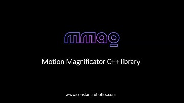 MotionMagnificator demo video