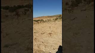 Dengbej Cızira Botan (Çiyayê Cudi)