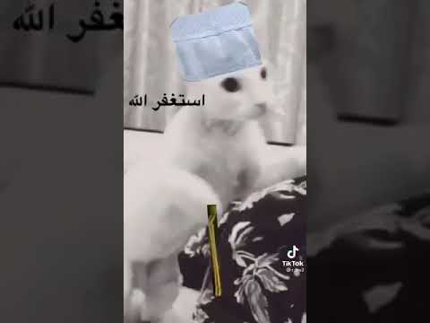 طهر القلب نقيون