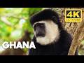 Ghana A Nation of Rich History and Iconic Wildlife Africa from Above 4K UHD Documentary mp3