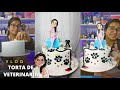 torta de veterinaria / forrado de pastel con fondant /  bordes perfectos