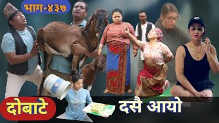 दोबाटे | Dobate  Episode 437 | 13 Oct 2023 | Comedy Serial | Dobate | Nepal Focus Tv | By Harindra