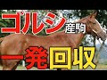 【快挙】ゴールドシップ産駒ホワイトターフが新馬戦勝利！たった1戦で回収率100％超え。【一口馬主】