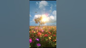 #بلغوا_عني_ولو_آية #اسلامية #آيات #تيك_توك #جمعة_مباركة #quran #tiktok