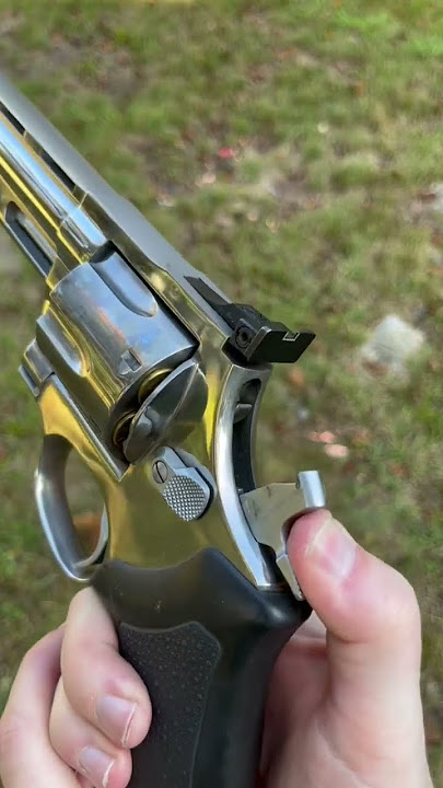 Taurus .44 Magnum