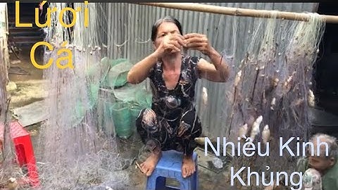 Mùa nước nổi , giăng lưới trúng đậm đàn cá , đem bán , dùng làm khô, làm cá mắm# Fishing in the west