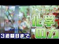 【経過報告】ブライティKの緩衝性とイオン交換樹脂で、アンモニア+苔撲滅!? 水草水槽立ち上げ3週間目までの記録【ふぶきテトラ】