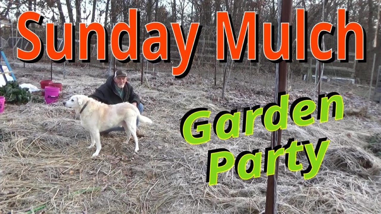 Sunday Mulch, A Garden Party 12172023 YouTube