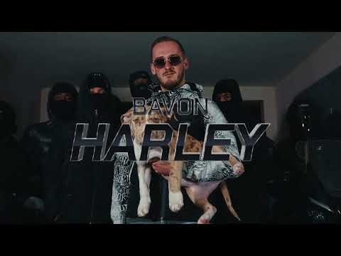 BAVON - HARLEY