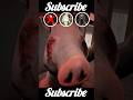 scary granny pig horror, dubai granny &amp; granny games 2019 hunting moments 😤 #hunting #shortvideo