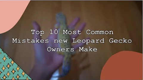 Top 10 Most Common Mistakes new Leopard Gecko Owners Make | Avoid These!!