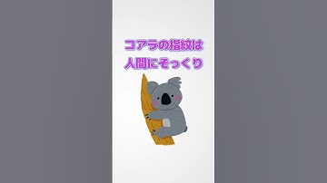 【驚愕】誰かに話したくなる動物の雑学 #ai #チャットgpt#aiアート #chatgpt #豆知識 #雑学#shorts