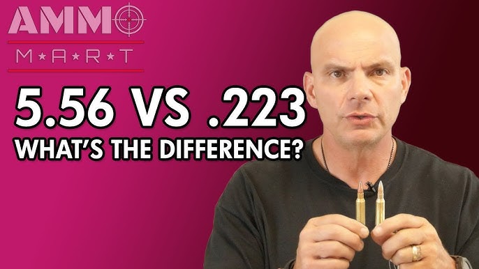 22LR vs 223 (5.56mm) what's the difference?